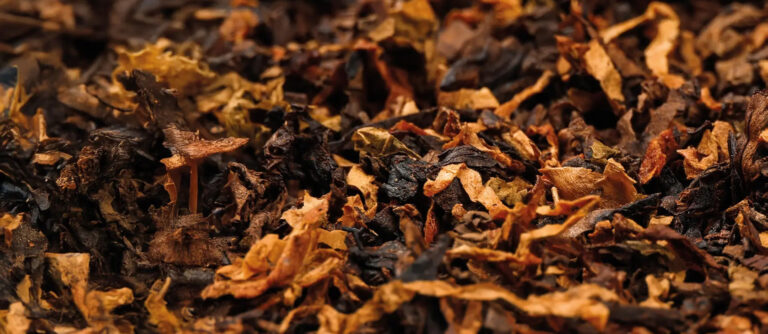 Understanding and Controlling Water Activity in Chocolate Confections